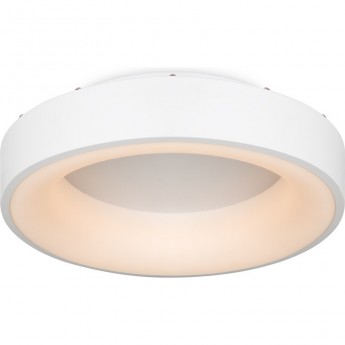 Потолочный светильник FREY LUMIX FR6118CL-L45W Потолочный светильник FREY LUMIX FR6118CL-L45W