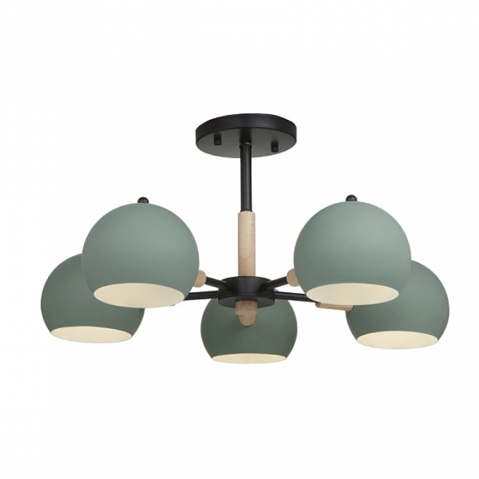 Потолочный светильник FREYA TRISHA FR5032CL-05B