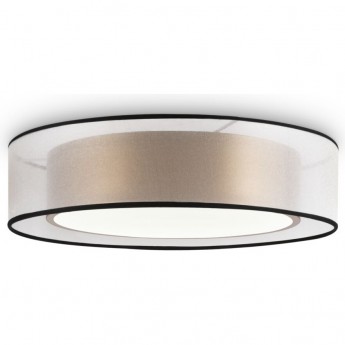 Потолочный светильник Zoticus