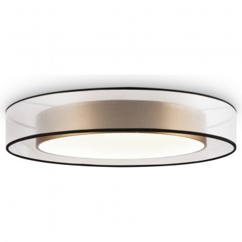 Потолочный светильник Zoticus